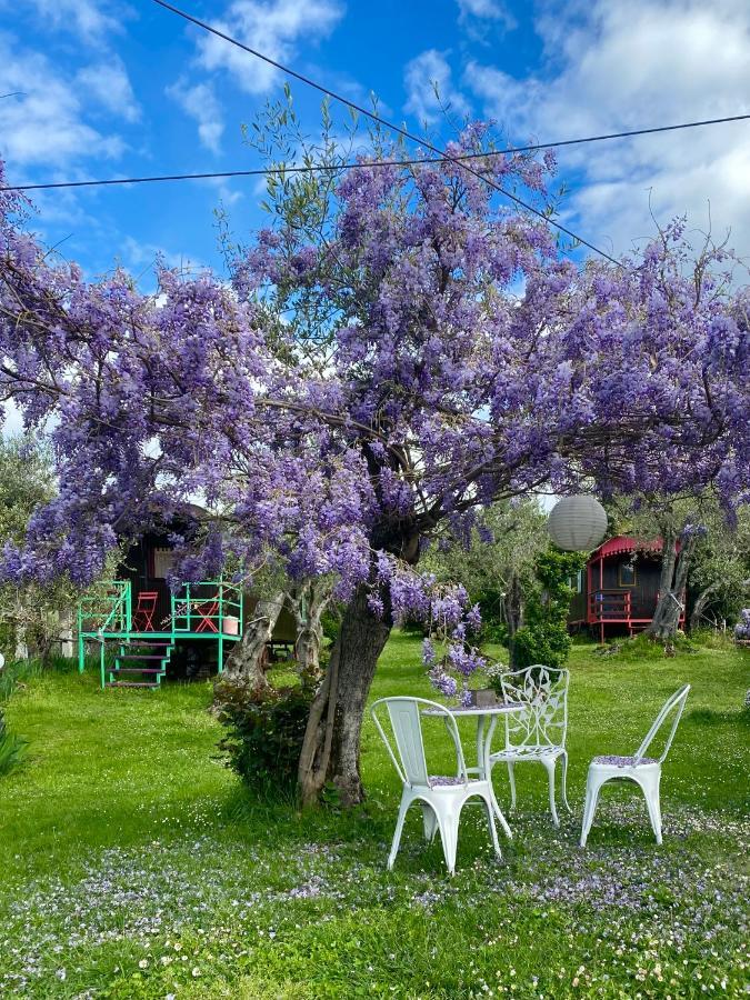 Azienda Agricola Della Mezzaluna Stiava 外观 照片