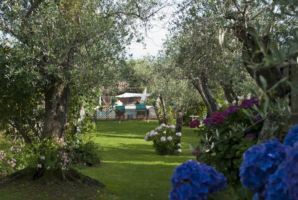 Azienda Agricola Della Mezzaluna Stiava 外观 照片