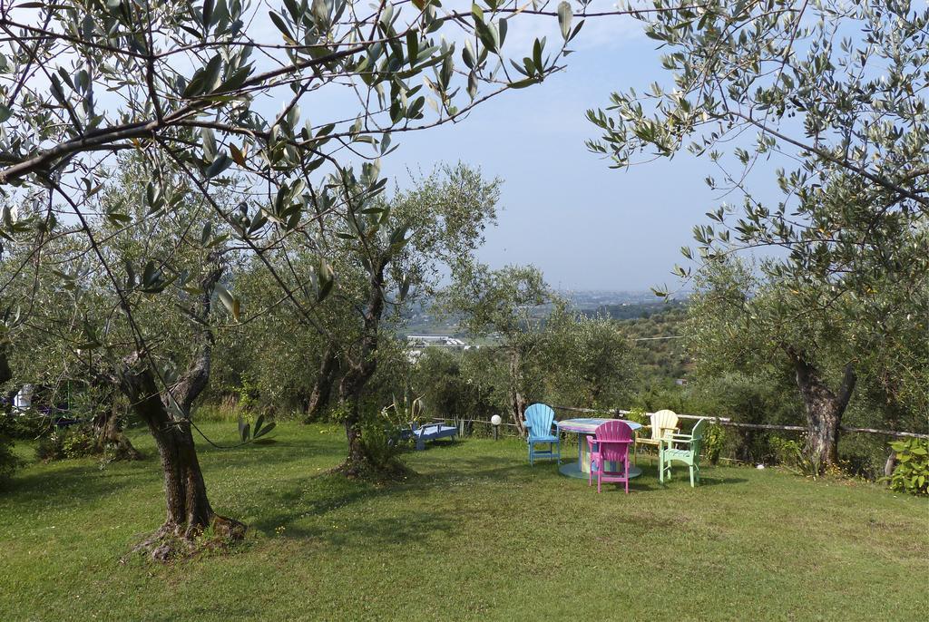 Azienda Agricola Della Mezzaluna Stiava 外观 照片