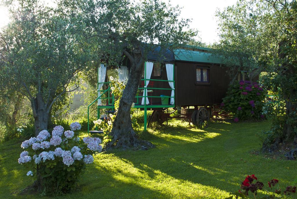 Azienda Agricola Della Mezzaluna Stiava 外观 照片